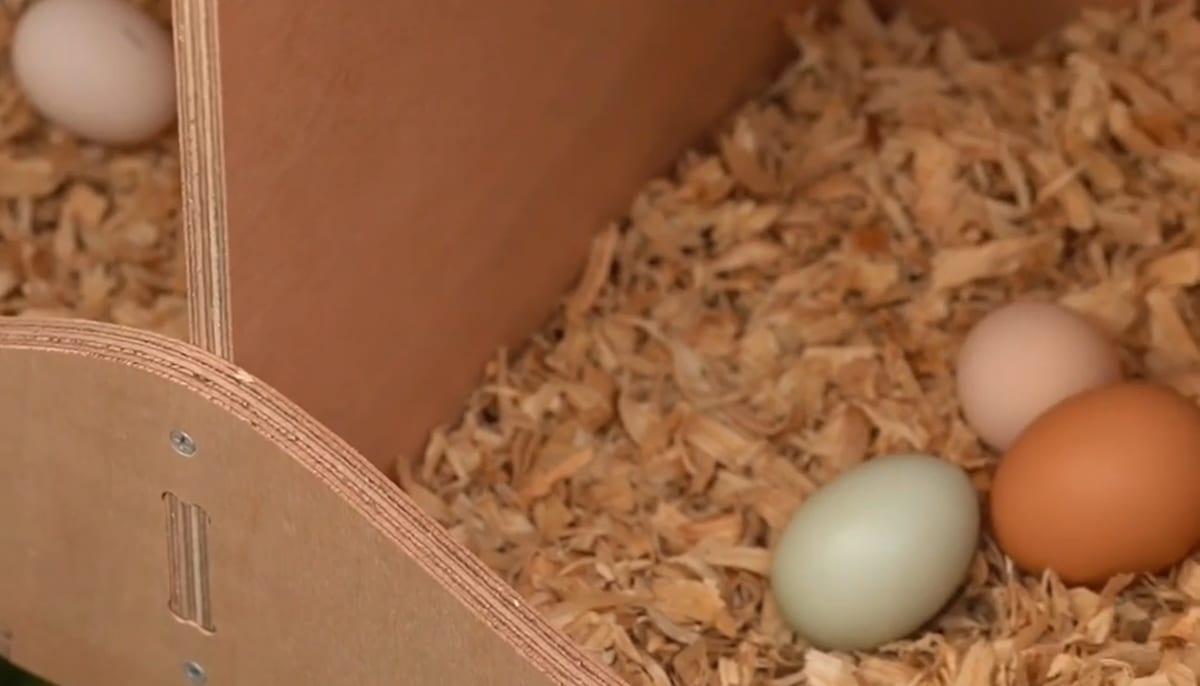 how to stop chickens from sleeping in nesting boxes